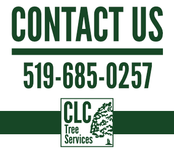 CLC Phone Number - 5196850257