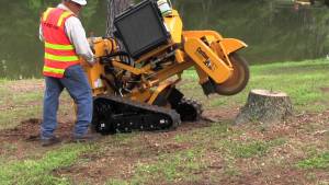 stump removal by grinding in london ontario